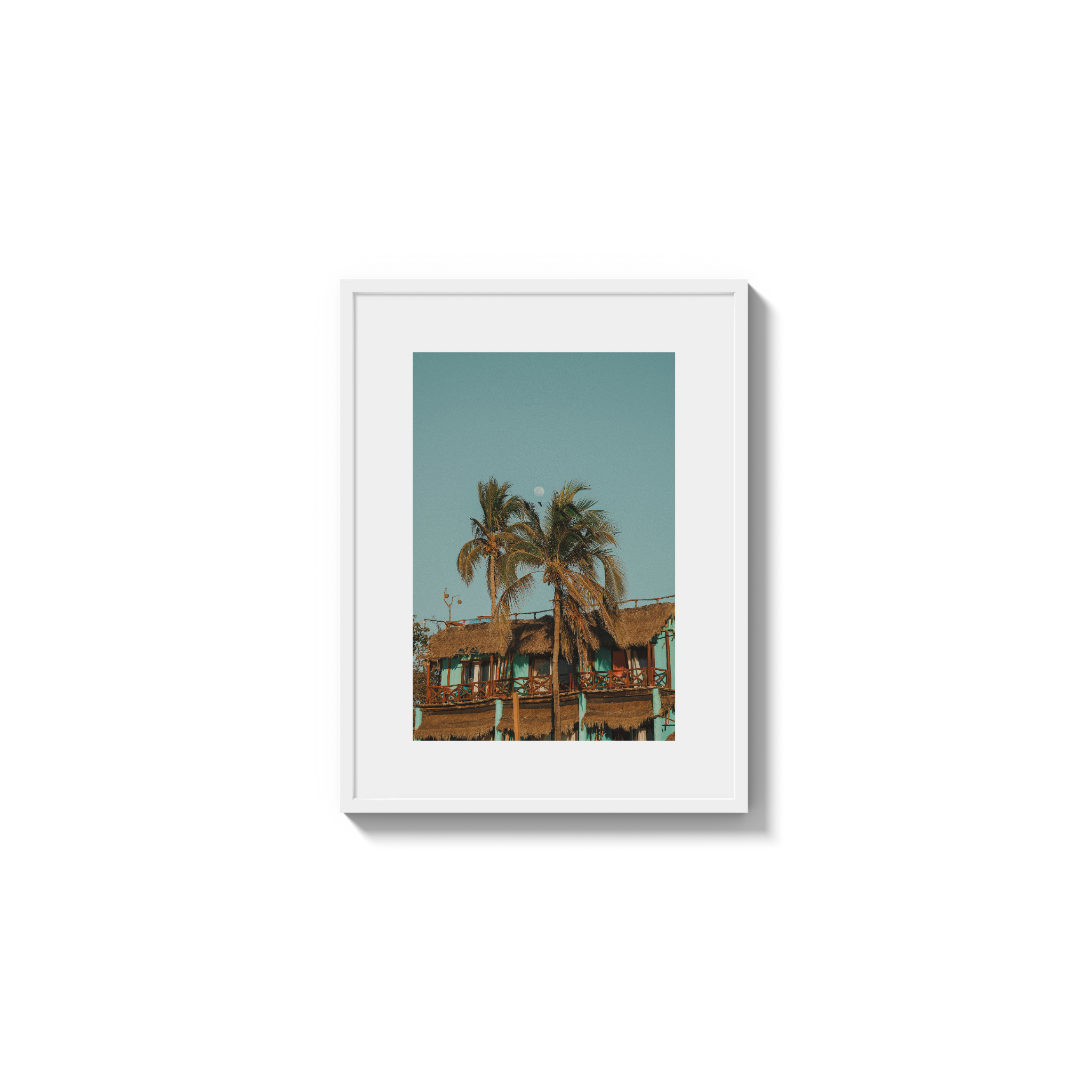 Palapa