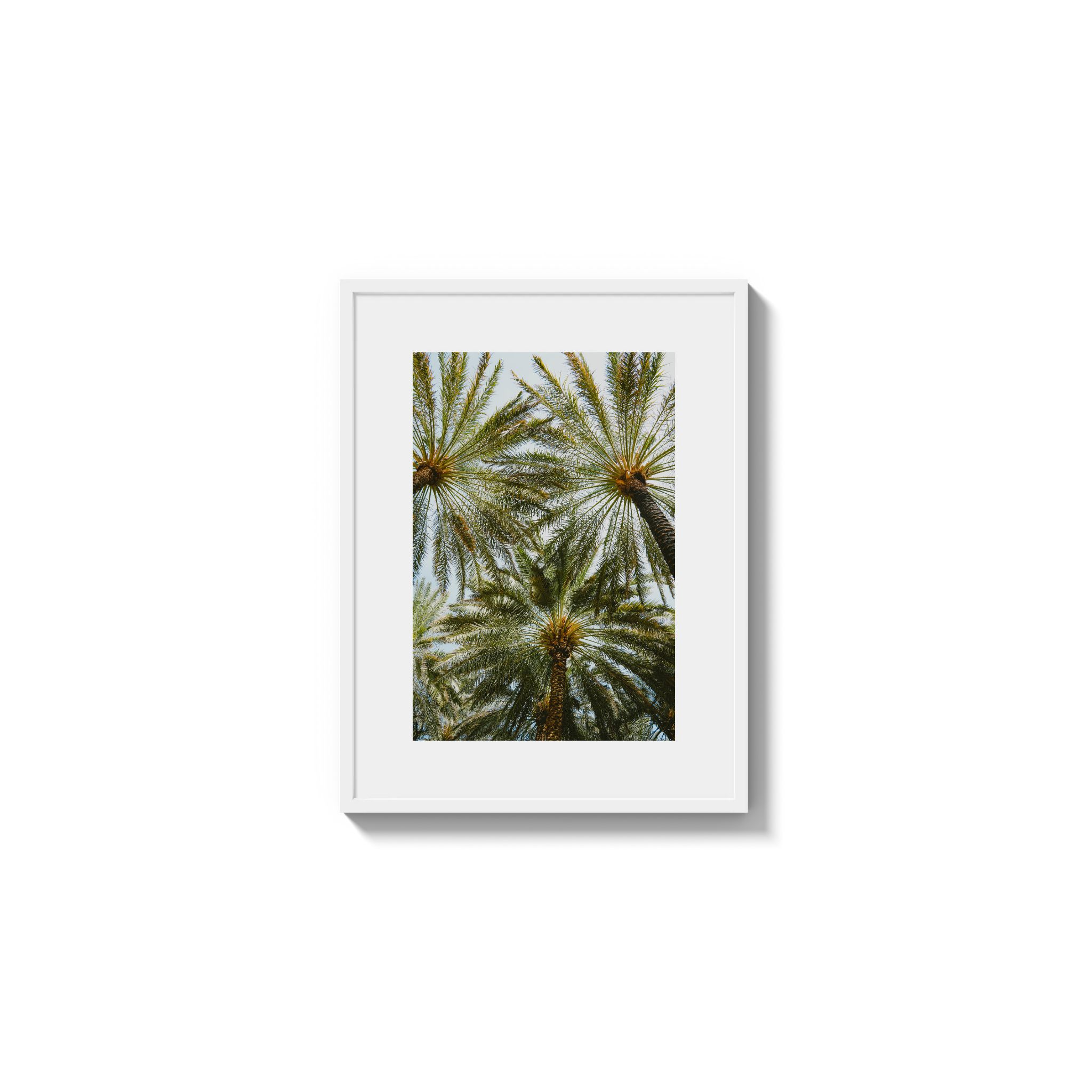 Book of Palms