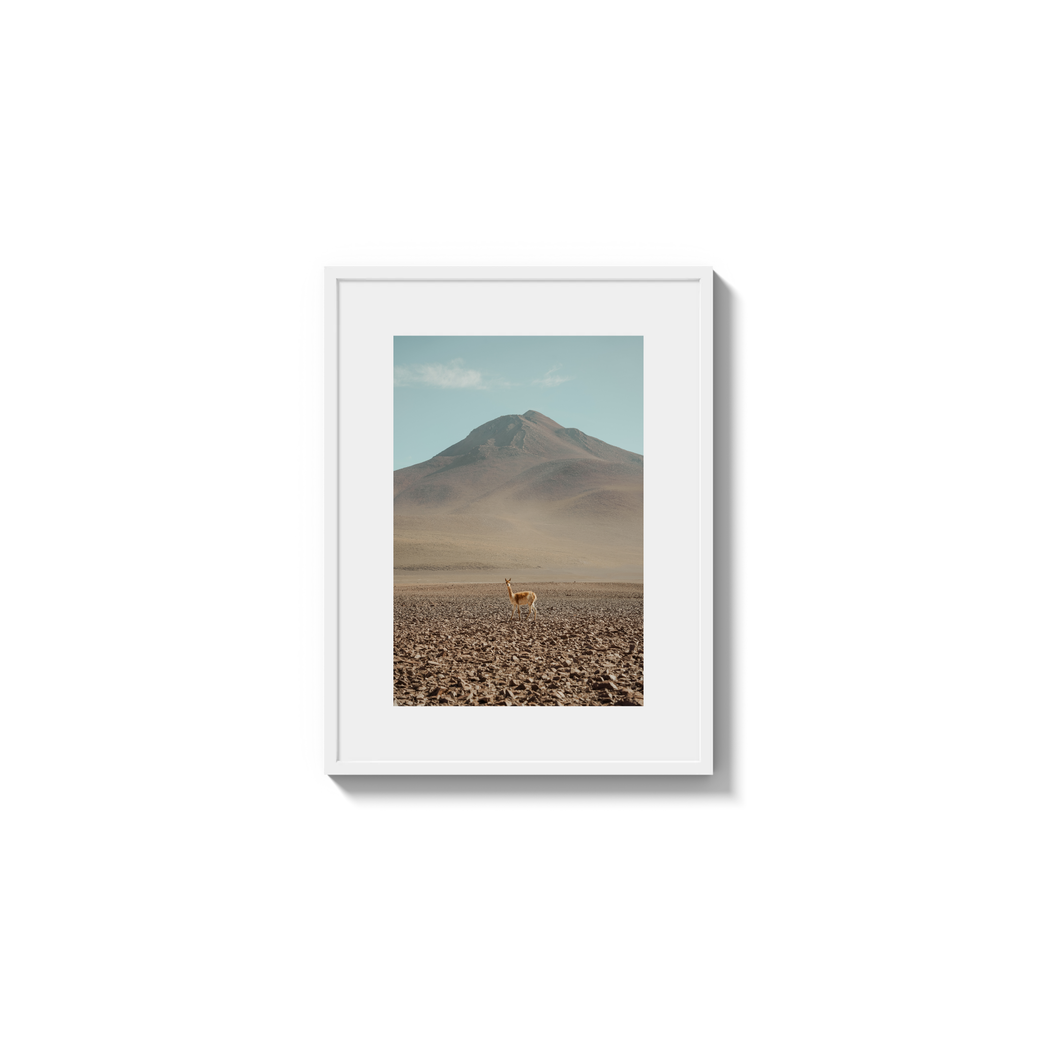 Andes