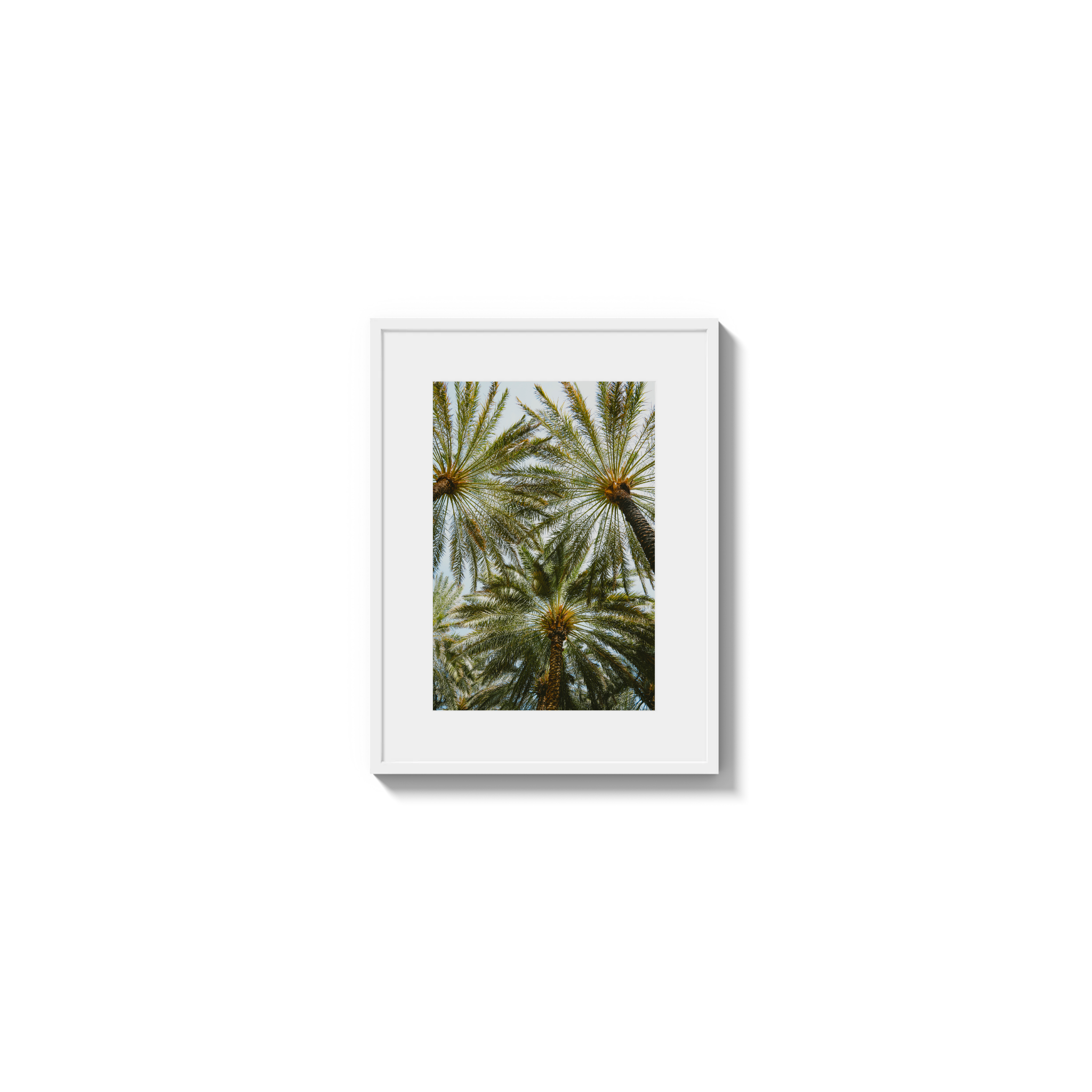 Book of Palms