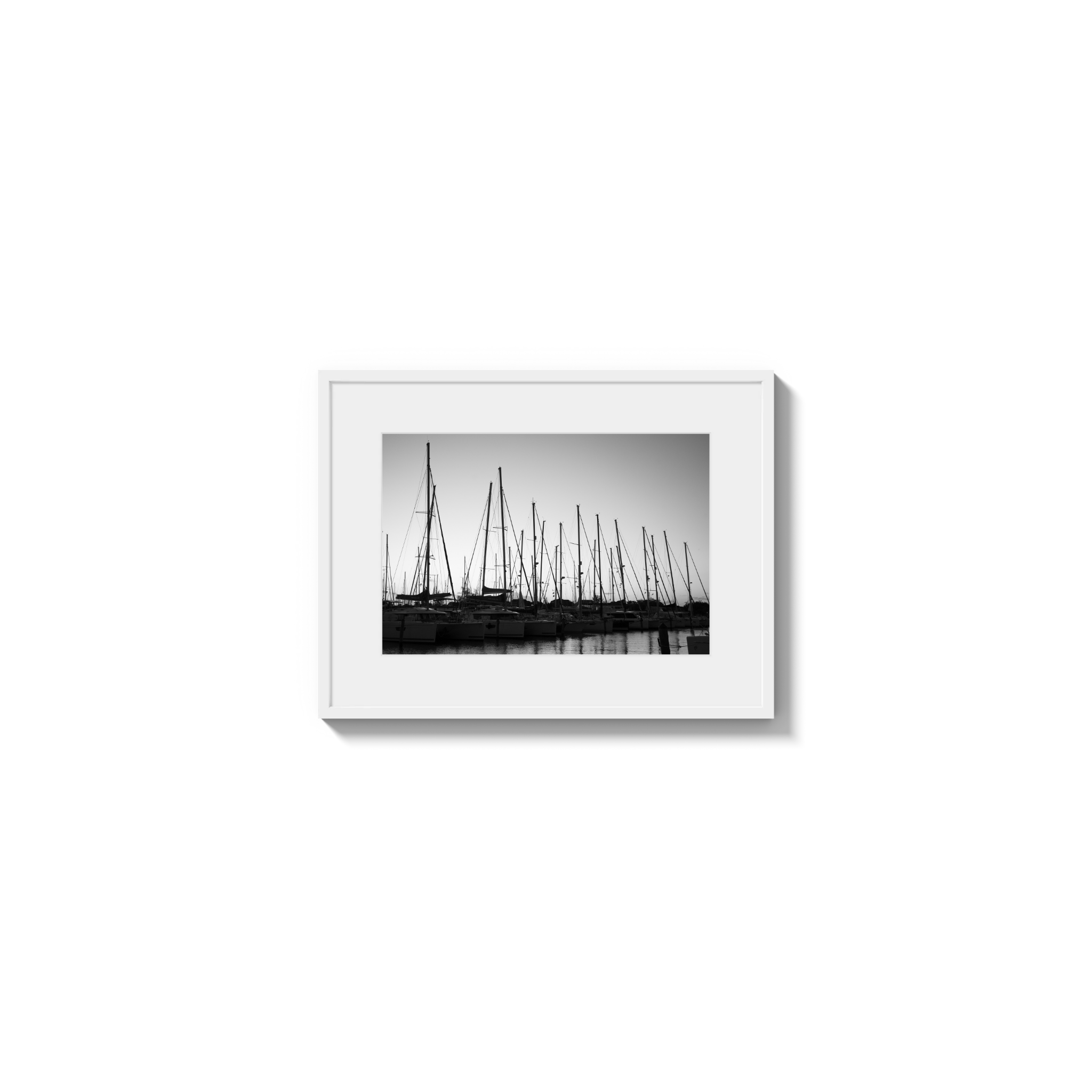 Forest of Masts