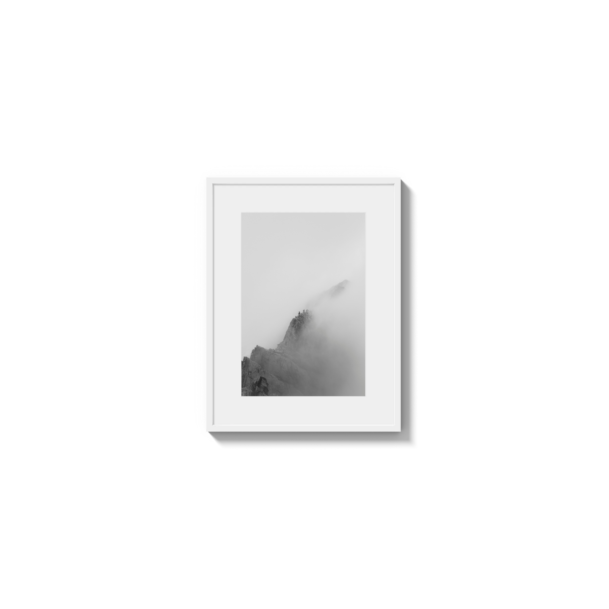 Low Viz