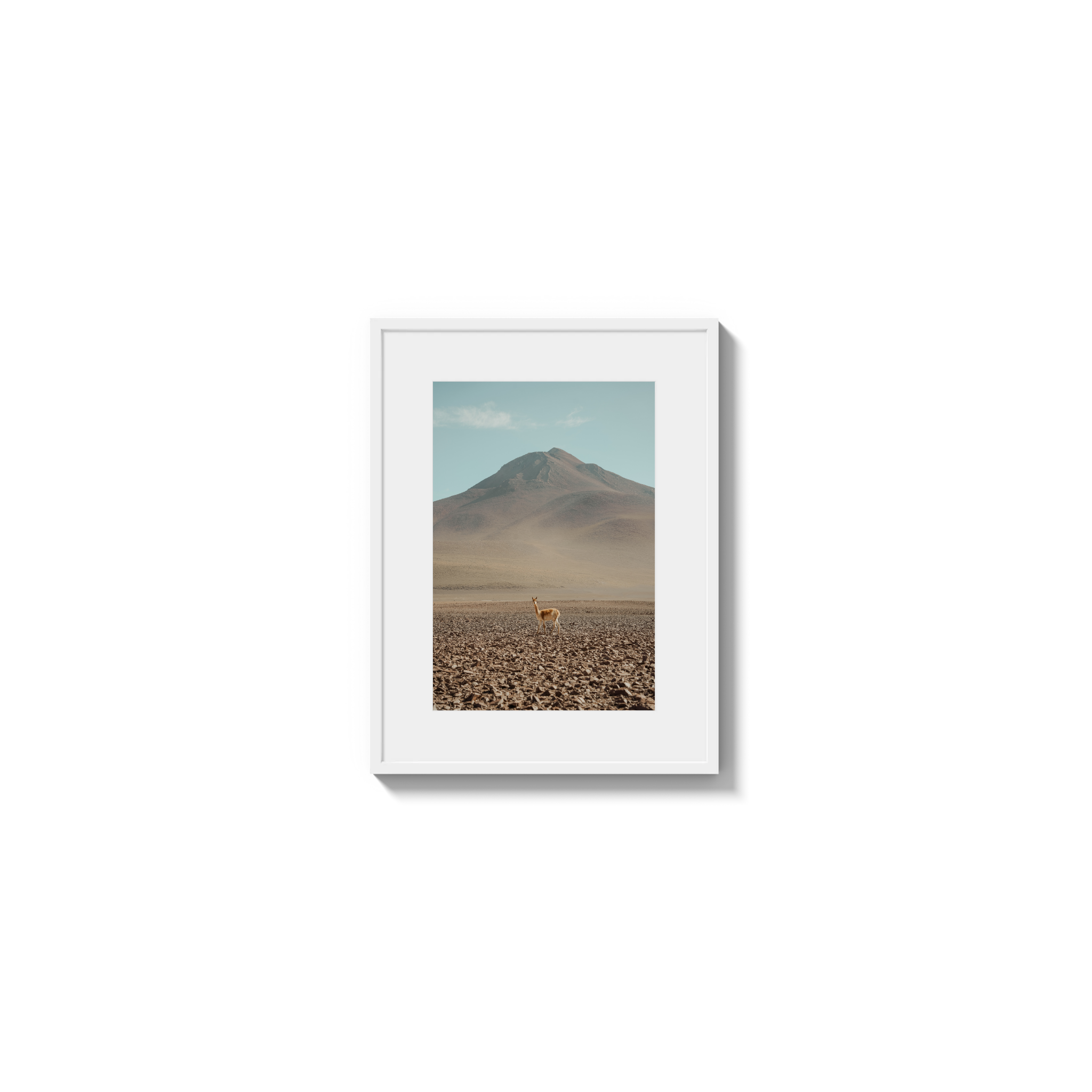 Andes