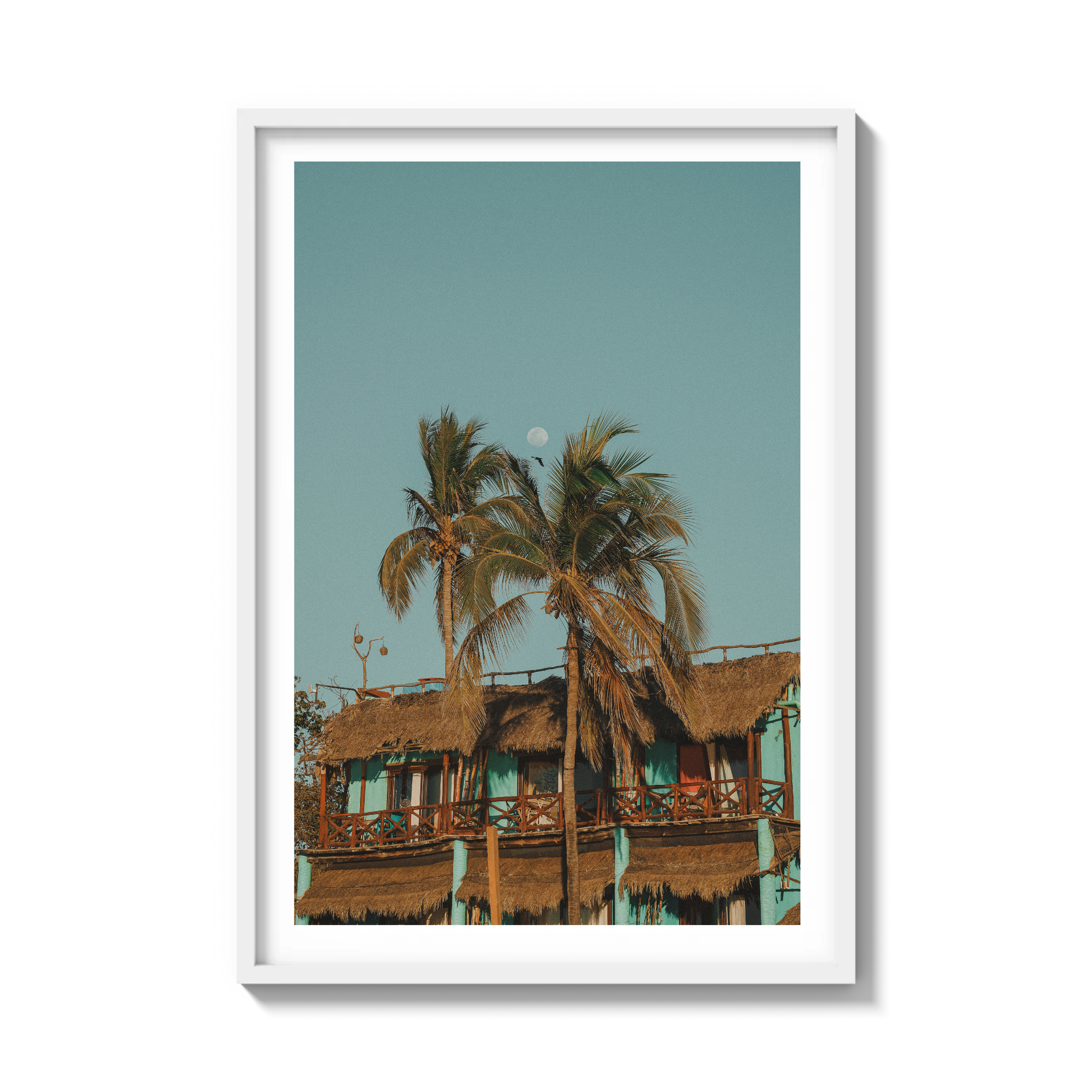 Palapa