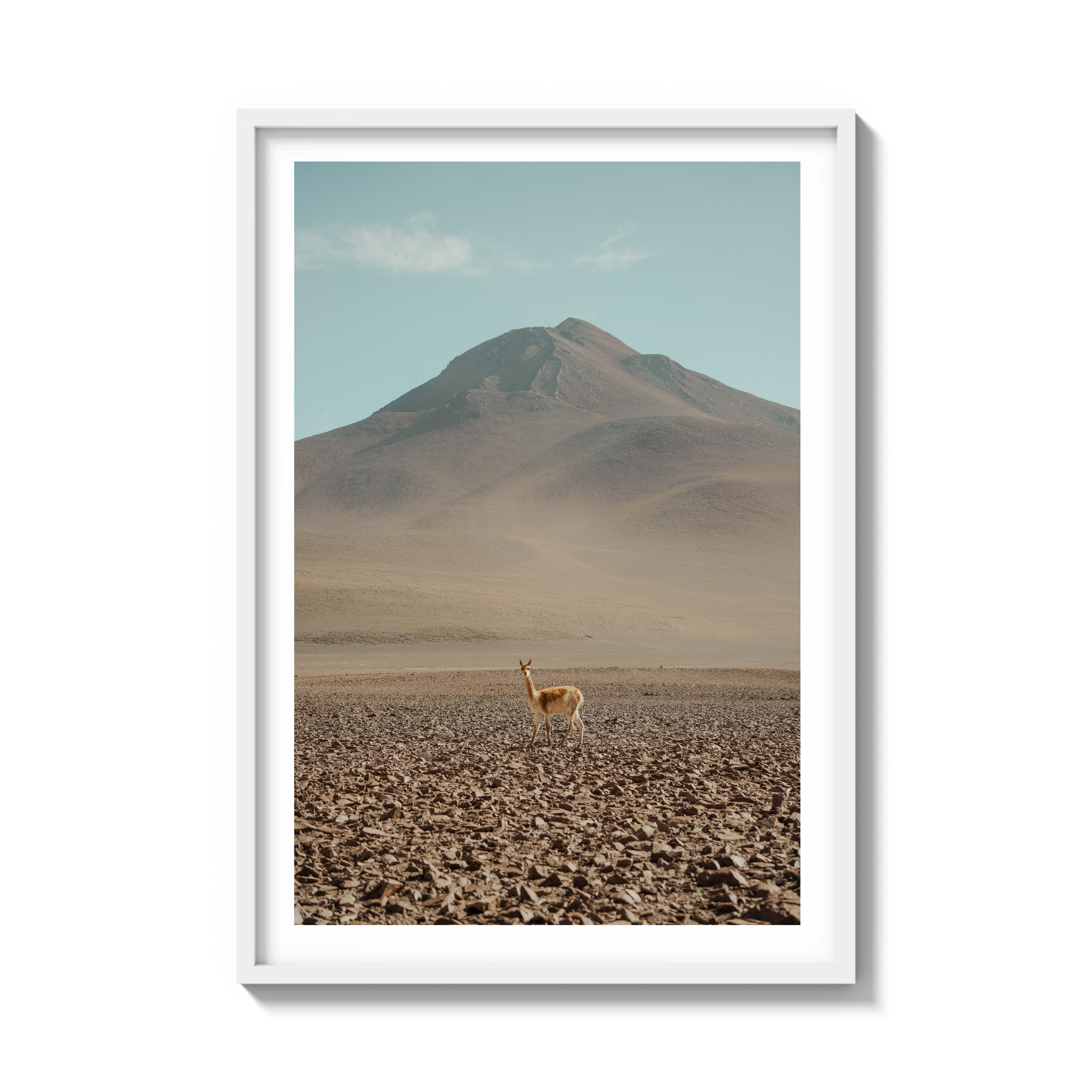 Andes